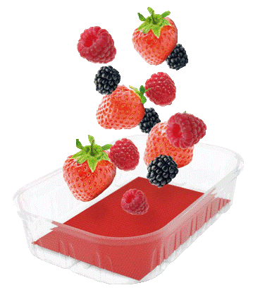 fruitpad 1