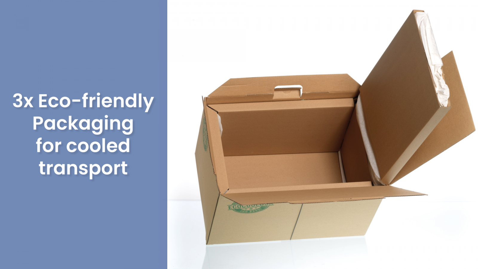 81 3x eco friendly packaging for cooled transport green packaging