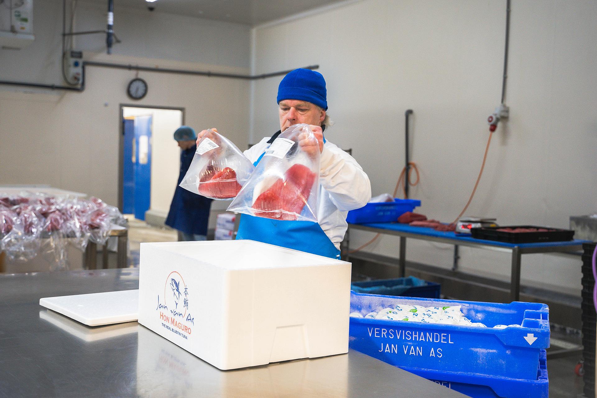 packing fresh tuna