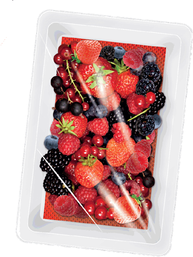 fruitpad 2
