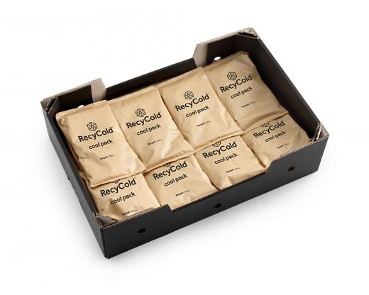Recycold Eco Gelpack 100
